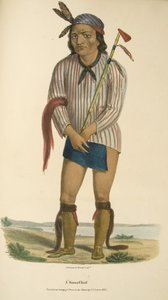 Capo Sioux da James Otto Lewis